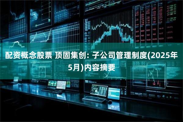 配资概念股票 顶固集创: 子公司管理制度(2025年5月)内容摘要