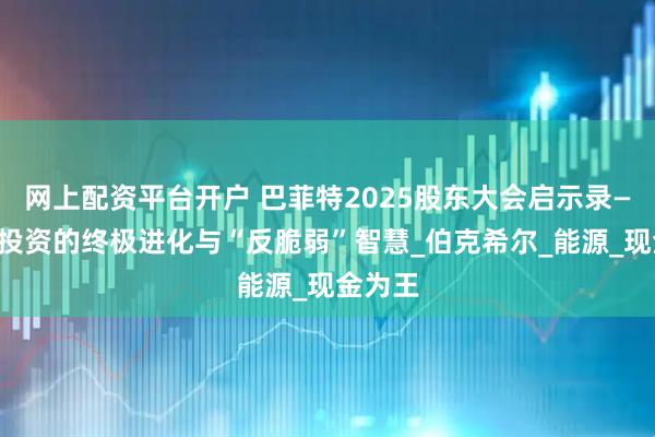 网上配资平台开户 巴菲特2025股东大会启示录——价值投资的终极进化与“反脆弱”智慧_伯克希尔_能源_现金为王
