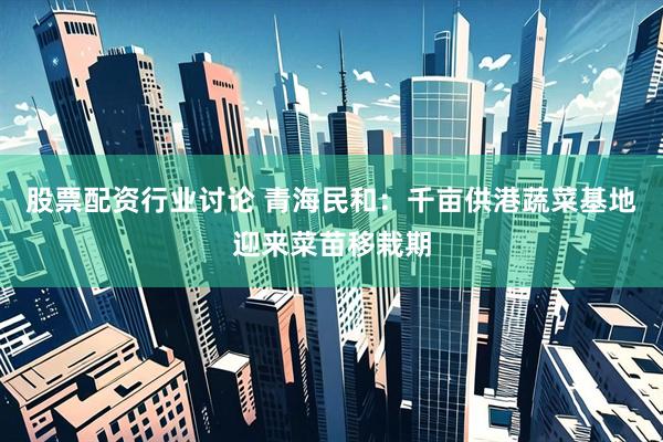 股票配资行业讨论 青海民和：千亩供港蔬菜基地迎来菜苗移栽期
