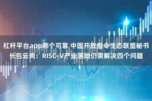 杠杆平台app哪个可靠 中国开放指令生态联盟秘书长包云岗：RISC-V产业落地仍需解决四个问题